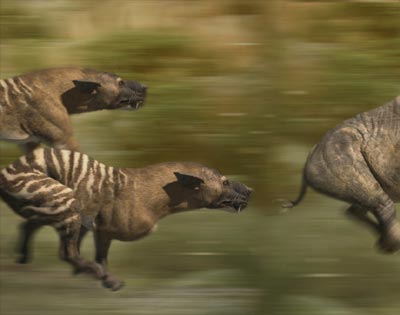 hyaenodon - click for source site